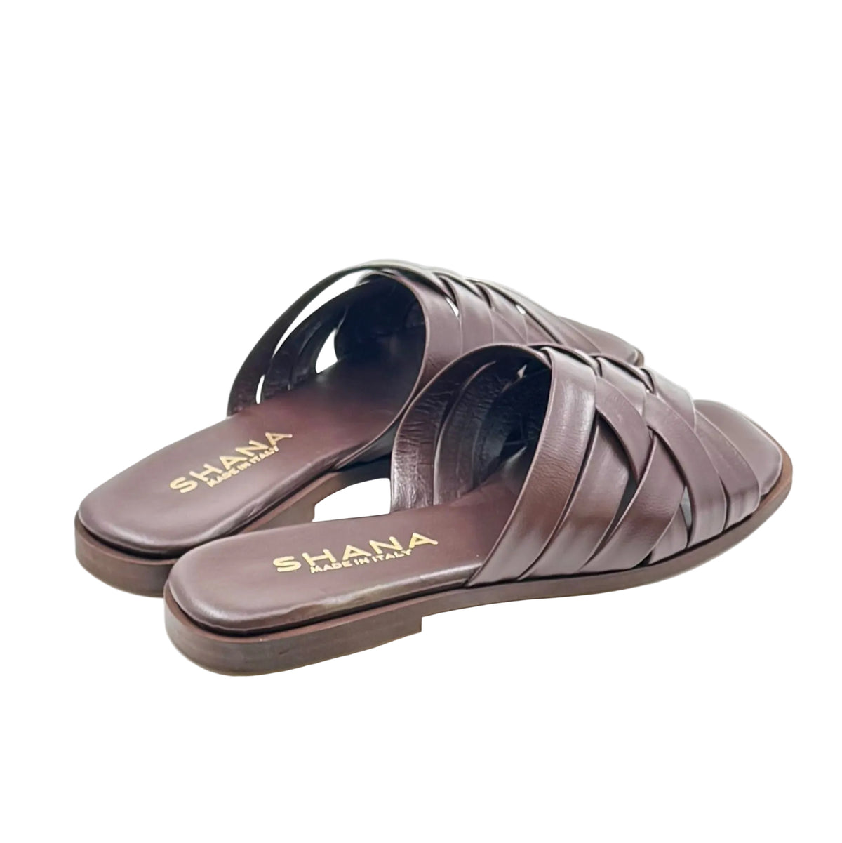 Mules SHANA TED 555 MORO