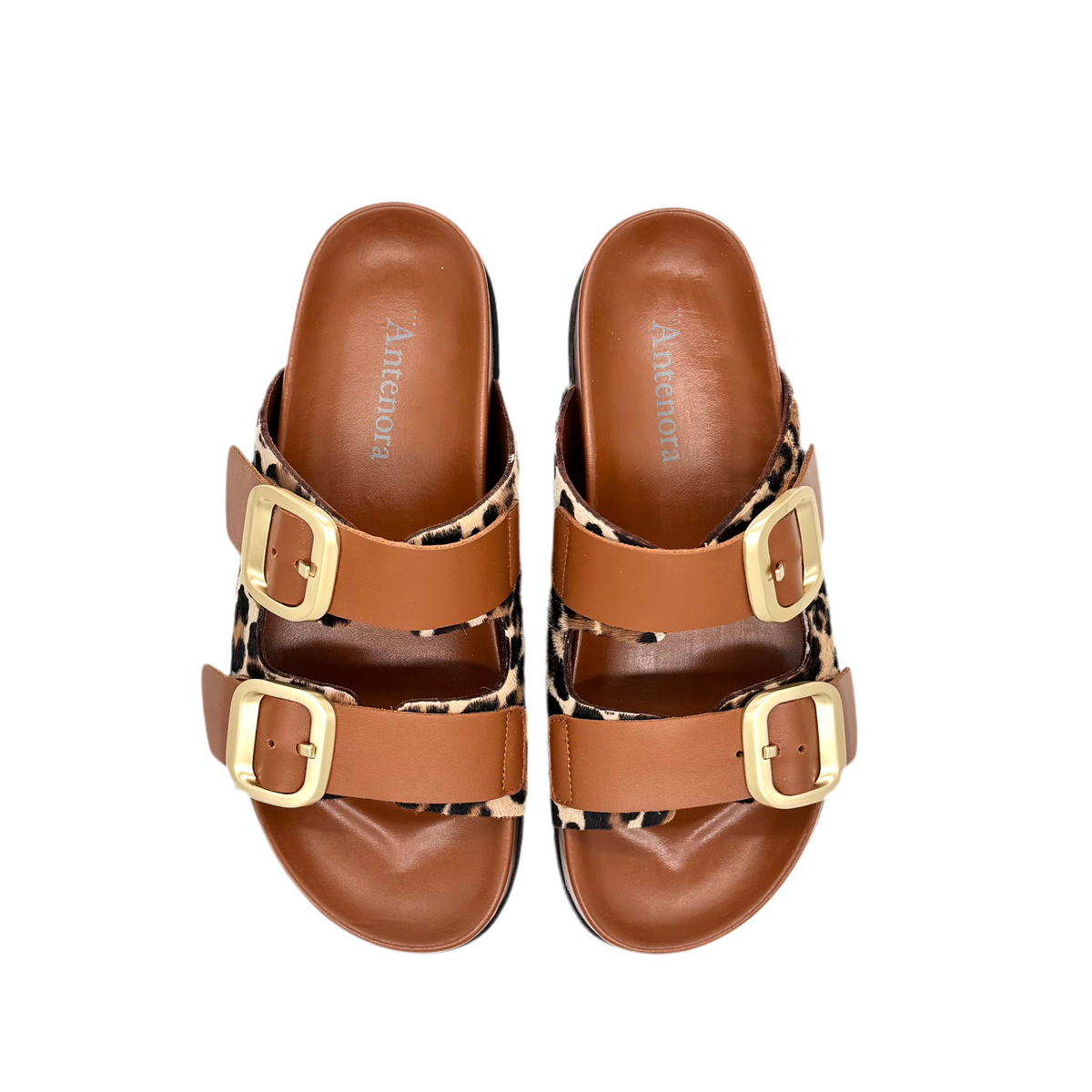 Mules Antenora