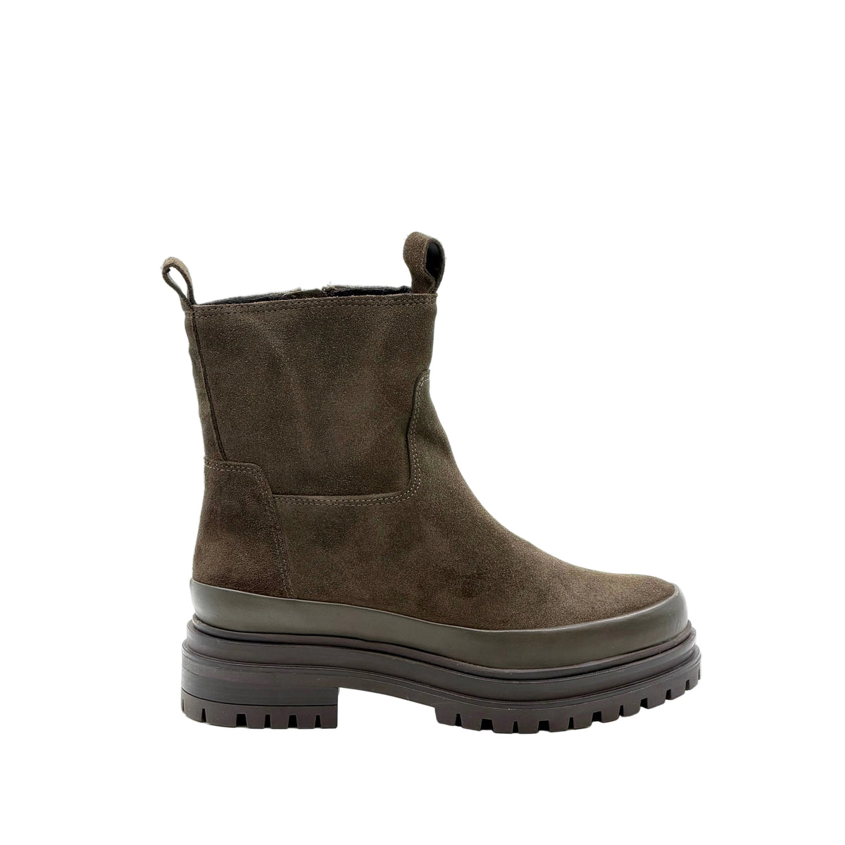Ankle boots Reqins SERGINA KAKI