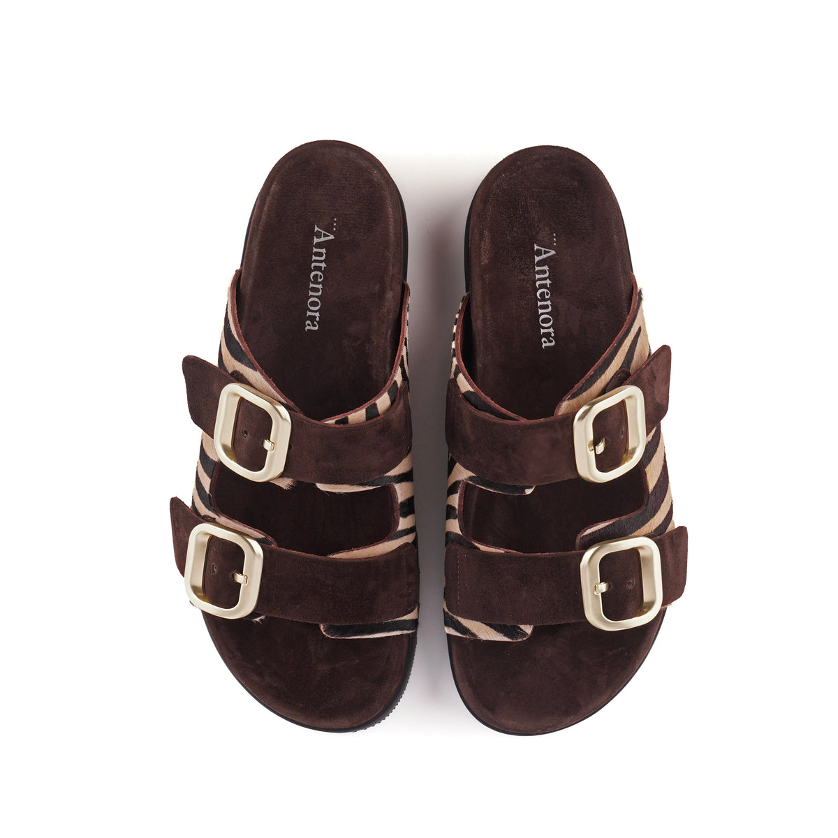 Mules Antenora MISAKI ZEBRA