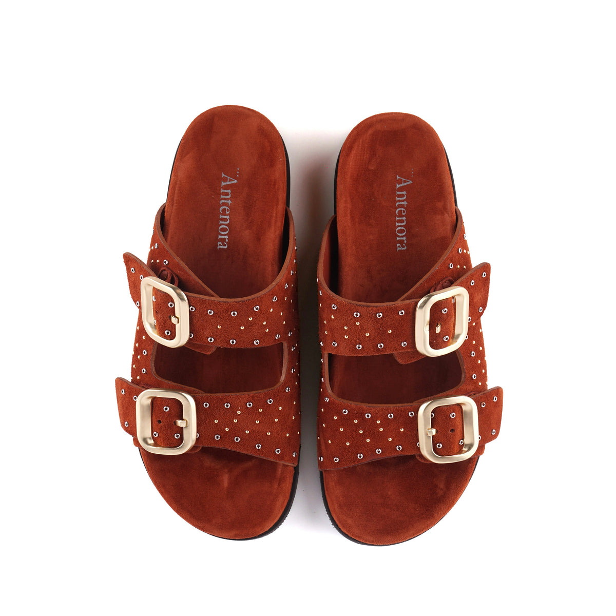 Mules Antenora LEXI COGNAC