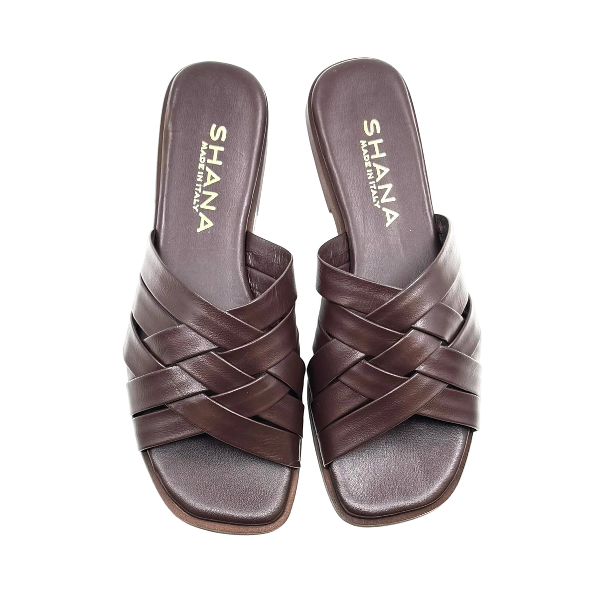 Mules SHANA TED 555 MORO